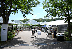 ぶどうの森マルシェ