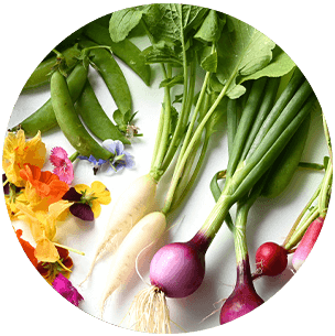 ぶどうの森農園