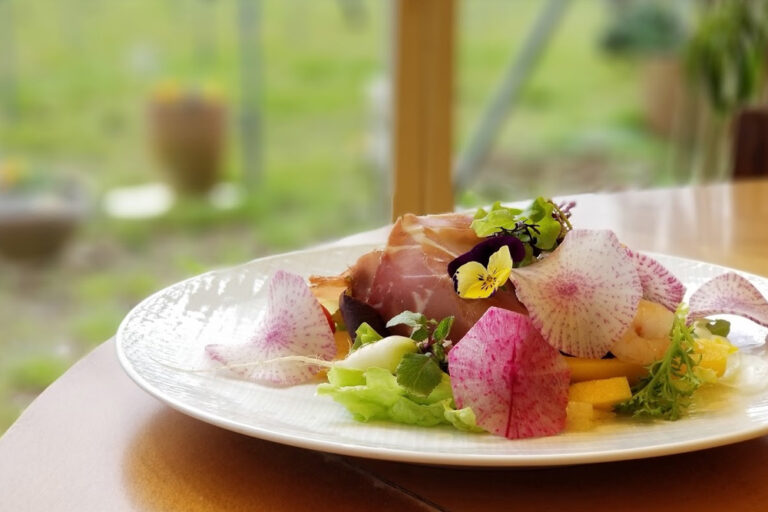 ランチ・ディナーのセットやコースでご用意している「本日のサラダ」がおすすめです。