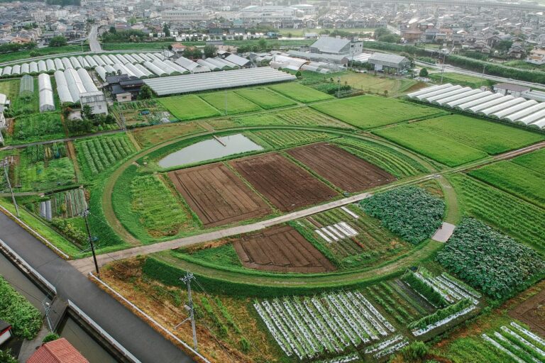 豊かな里を未来へつなぐラシェットエリア。ぶどうの木のサステナビリティへの挑戦。