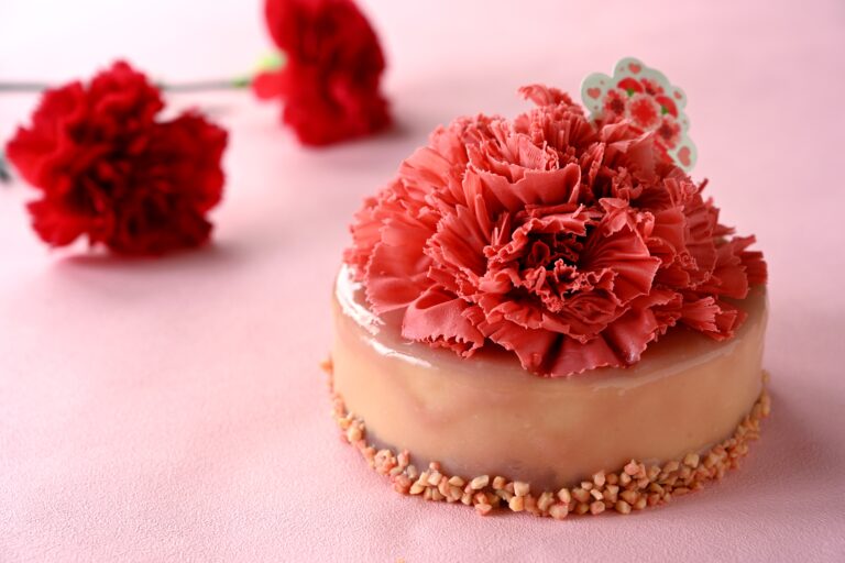 母の日は、とっておきと一緒に。ありがとうを伝えるケーキは洋菓子工房ぶどうの木で。