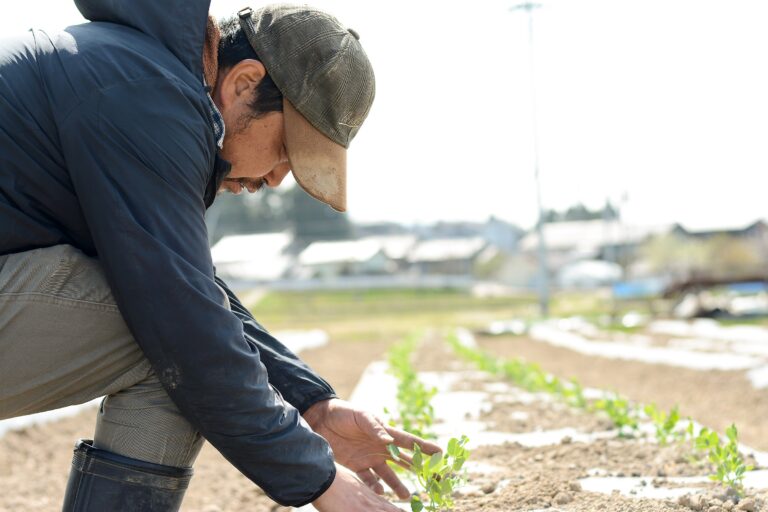 ラシェットエリアで畑仕事しませんか？農園を耕作してくれる方or農園ボランティア、募集しています！