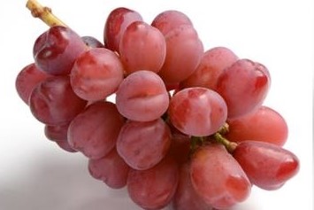 今が最盛期！60種類を超えて栽培する「もとぶどう園」のおすすめ&人気のぶどう3選のご紹介