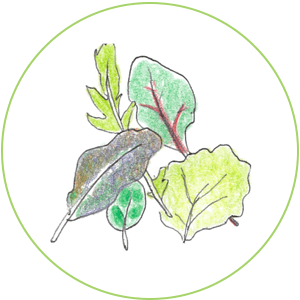 ベビーリーフミックス