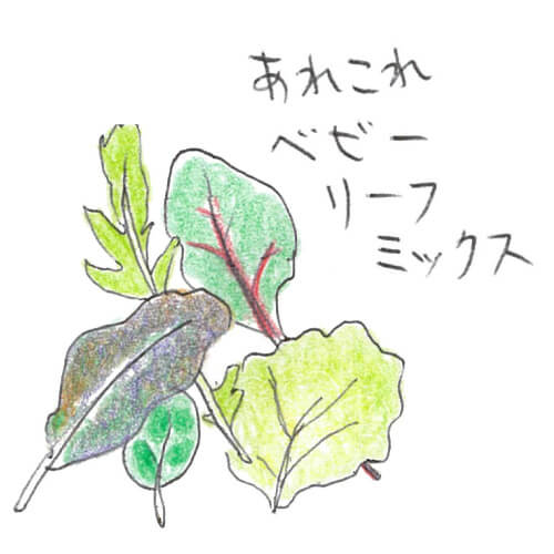 ベビーリーフミックス