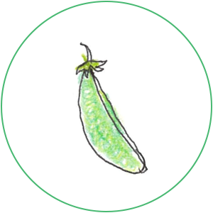 スナップエンドウ