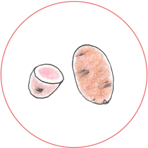 新じゃが（ノーザンルビー）