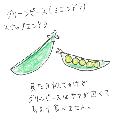 グリンピース