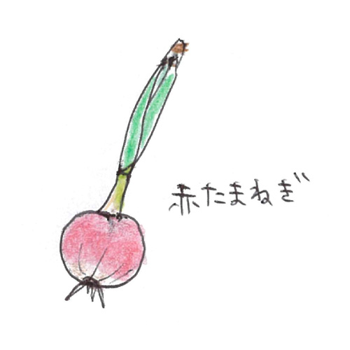 オニオンヌーボー（赤たまねぎ）