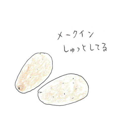 新じゃが（メークイン）